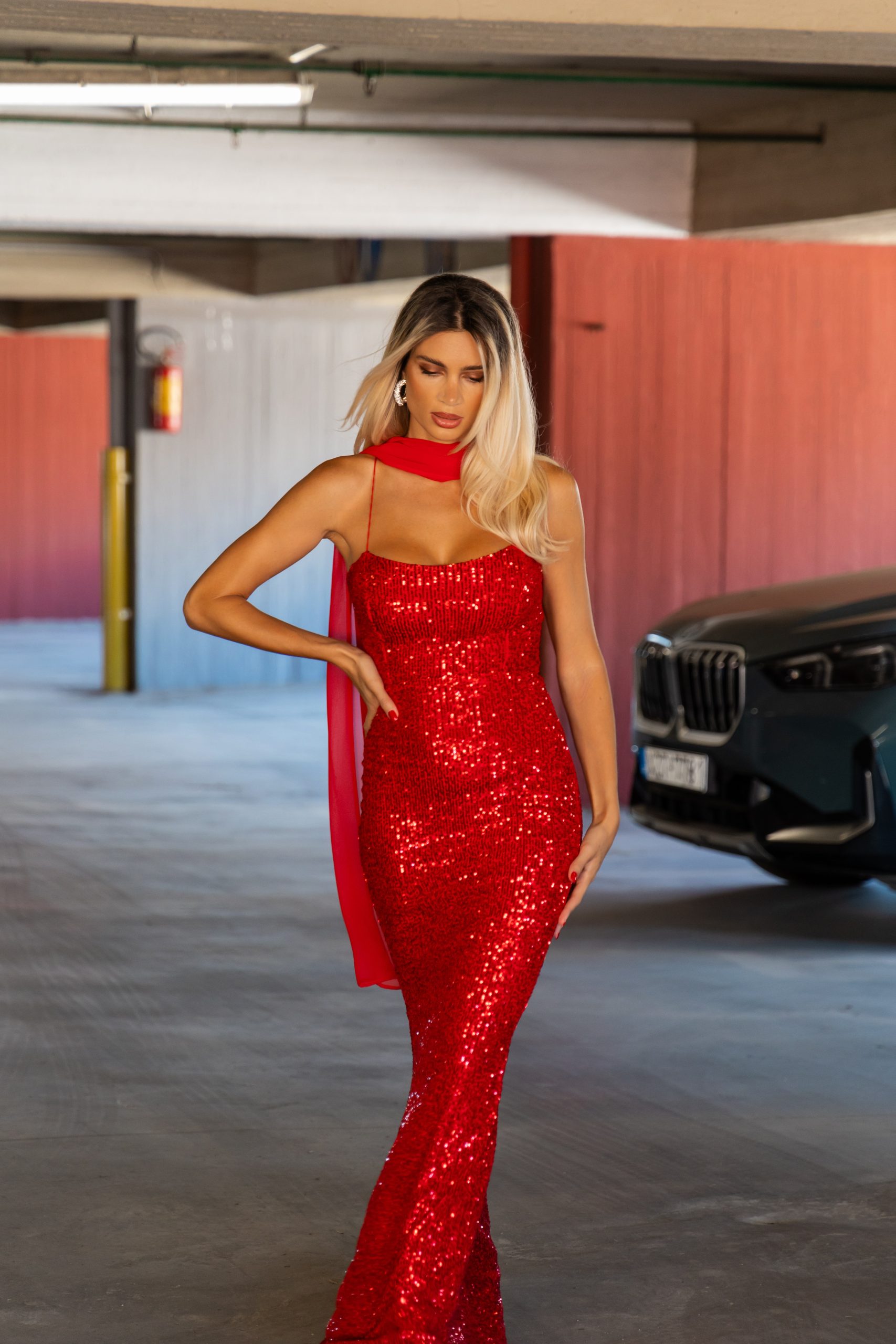 Evelia maxi Dress